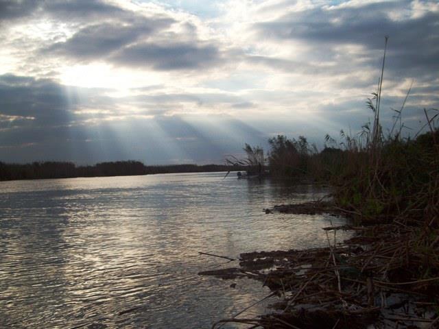 delta rosu 2010 - sany1204-r.JPG